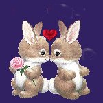 lapin amoureux